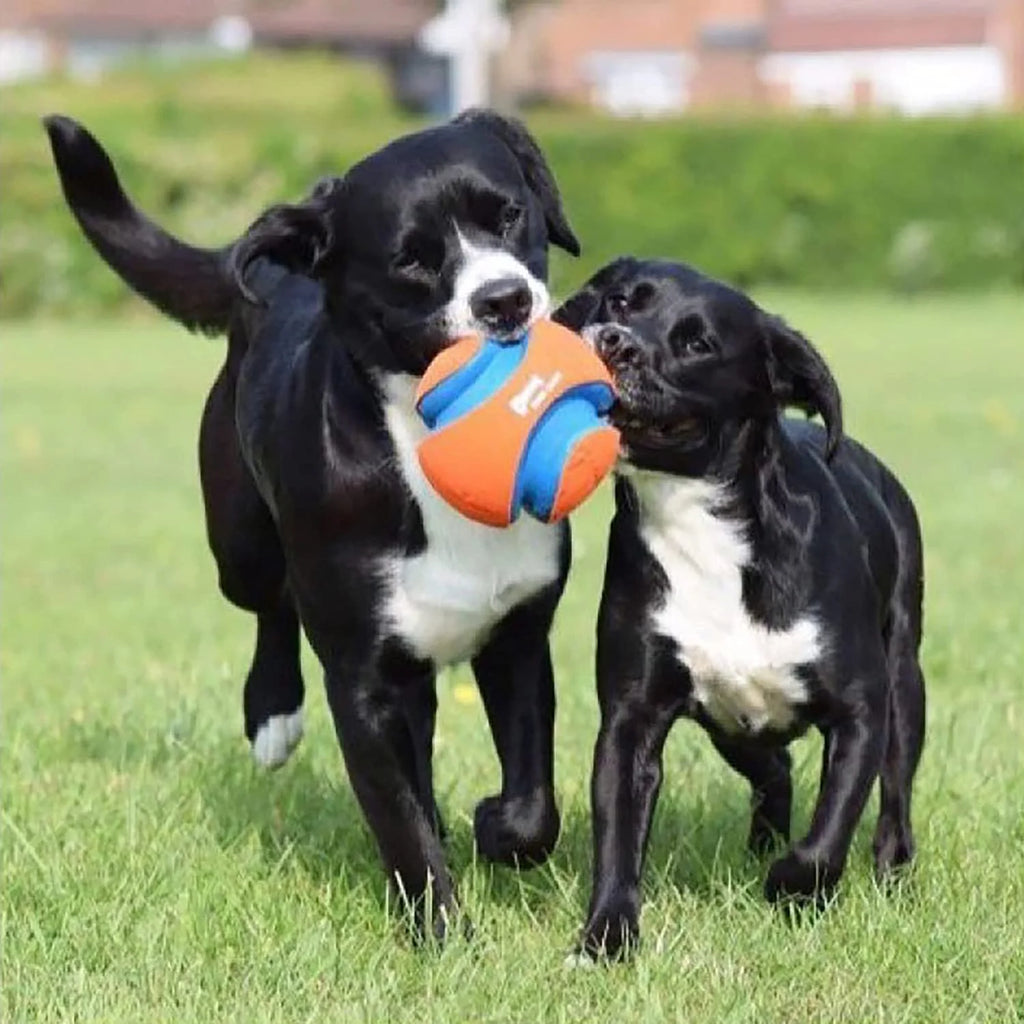 Large Kick Fetch Ball Dog Toy (8 Inch) R809