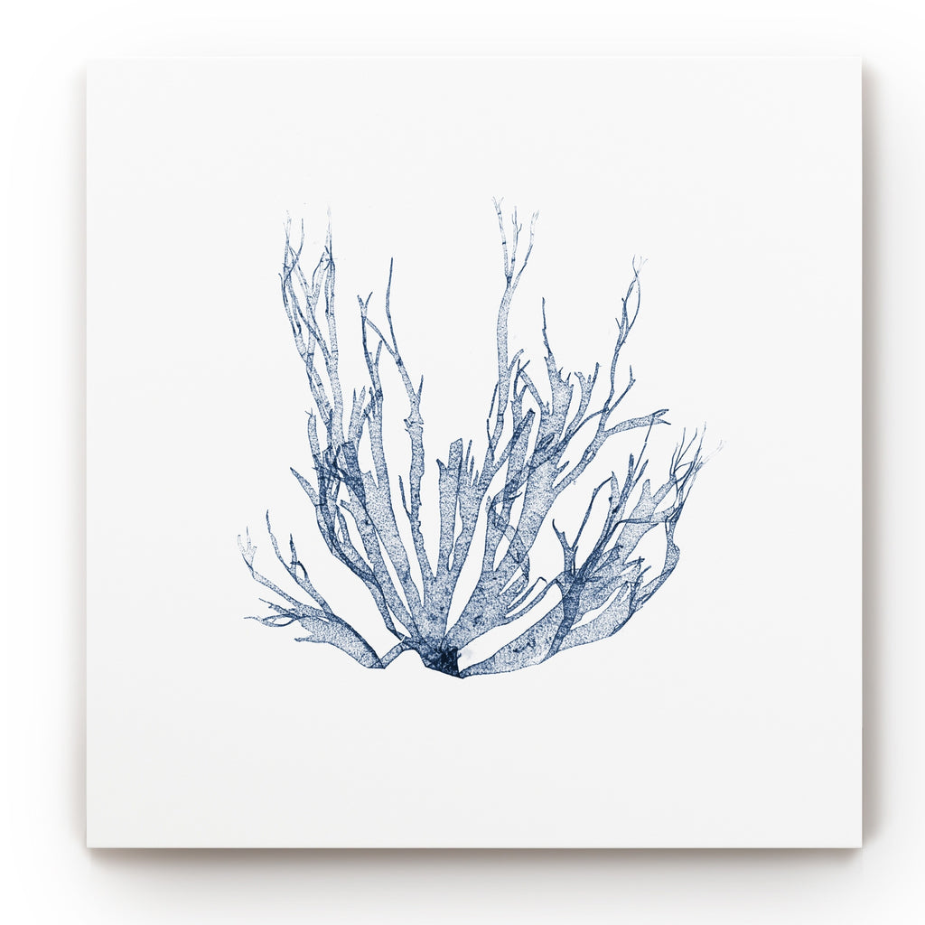 Navy Seaweed Gallery Wrapped Canvas 10x10 V776