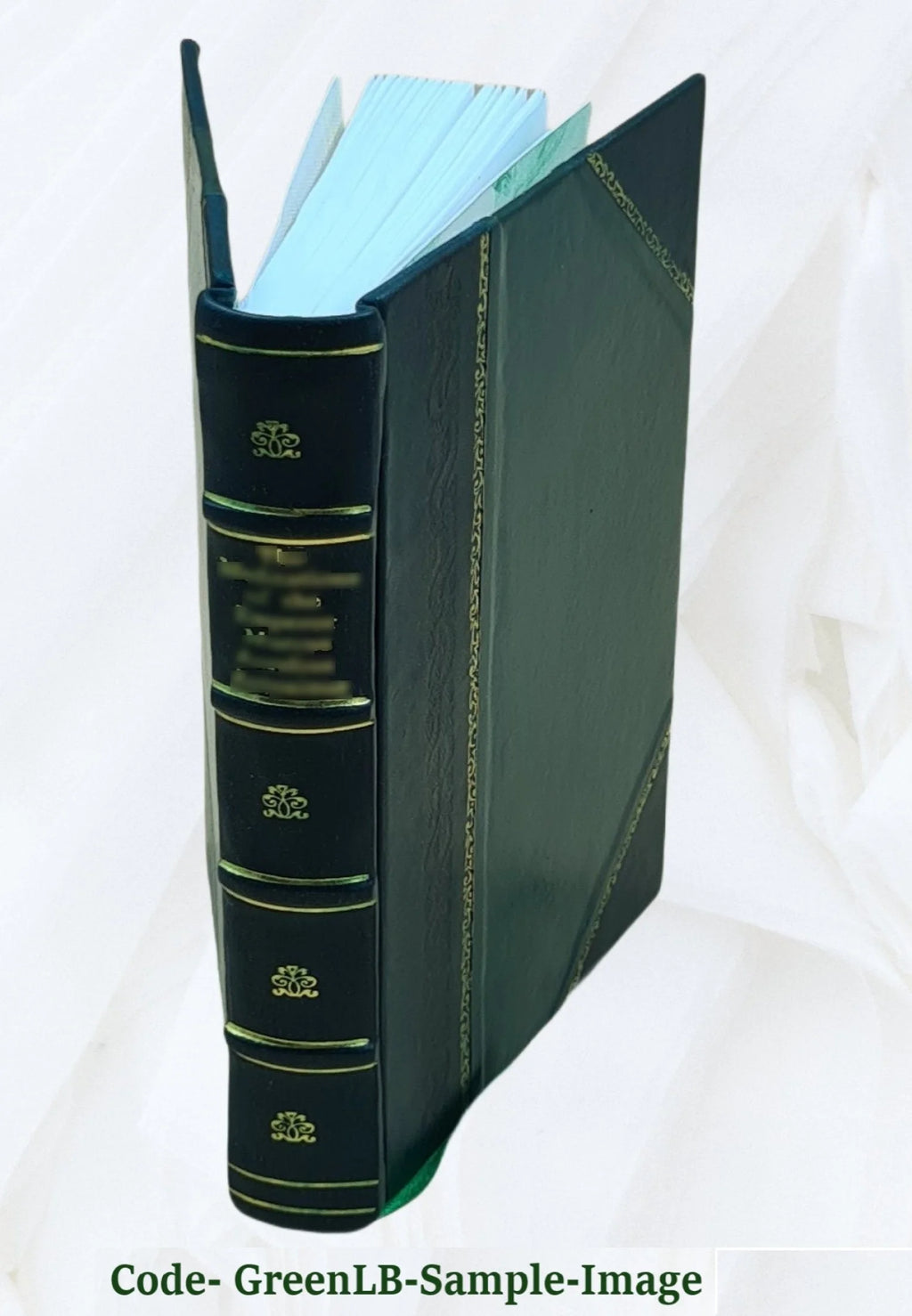 Leather Bound Book Y184