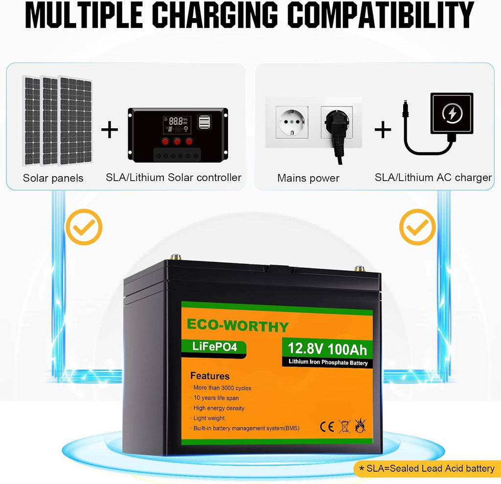 12V 100AH LiFePO4 Lithium Iron Phosphate Battery with BMS Z5507