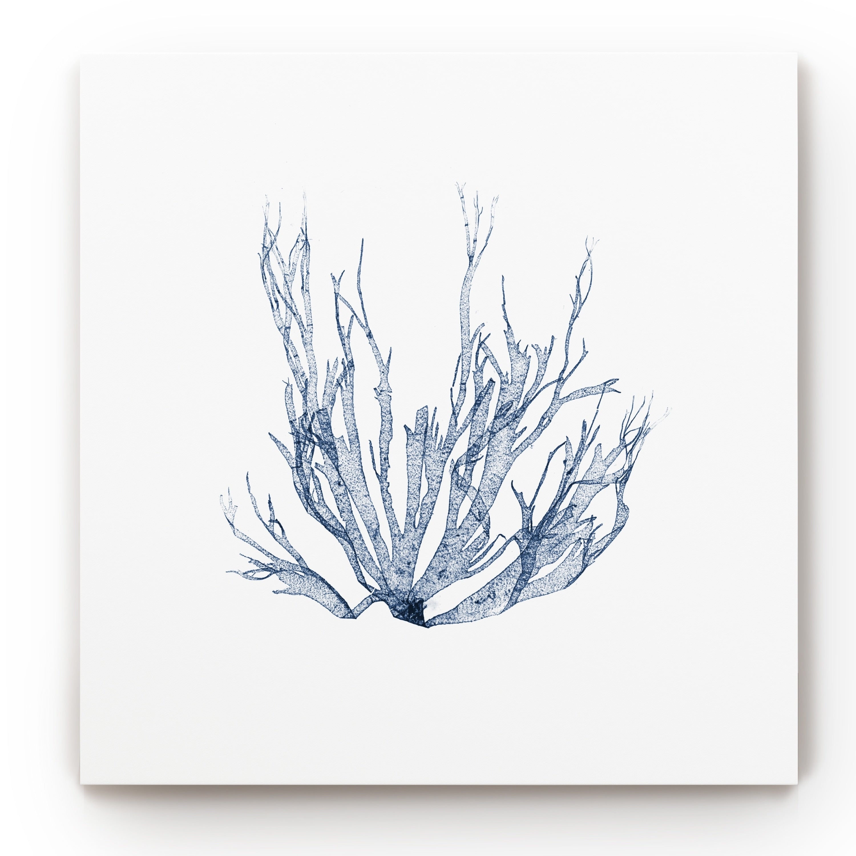 Navy Seaweed Gallery Wrapped Canvas 10x10 V776