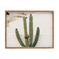 Rectangular Tray J97235