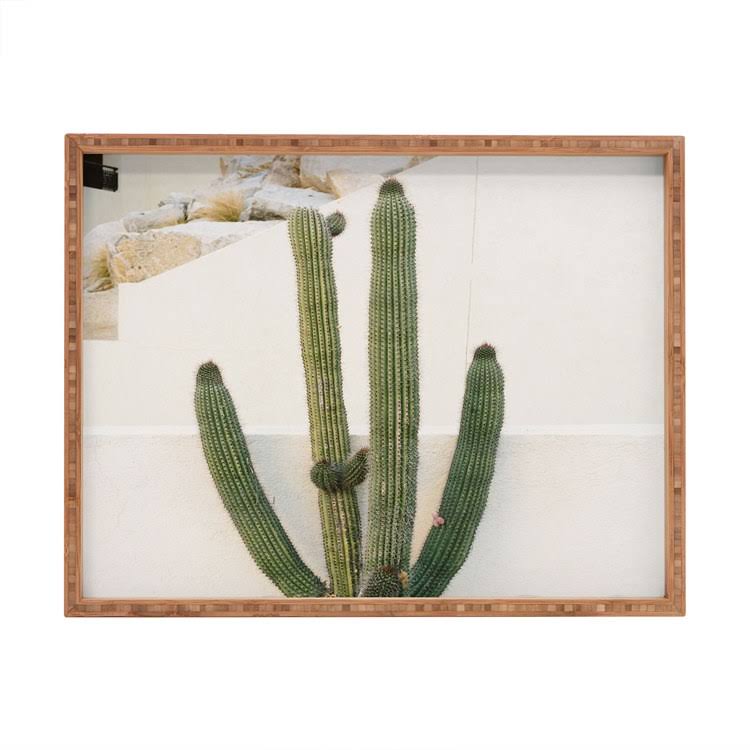 Rectangular Tray J97235