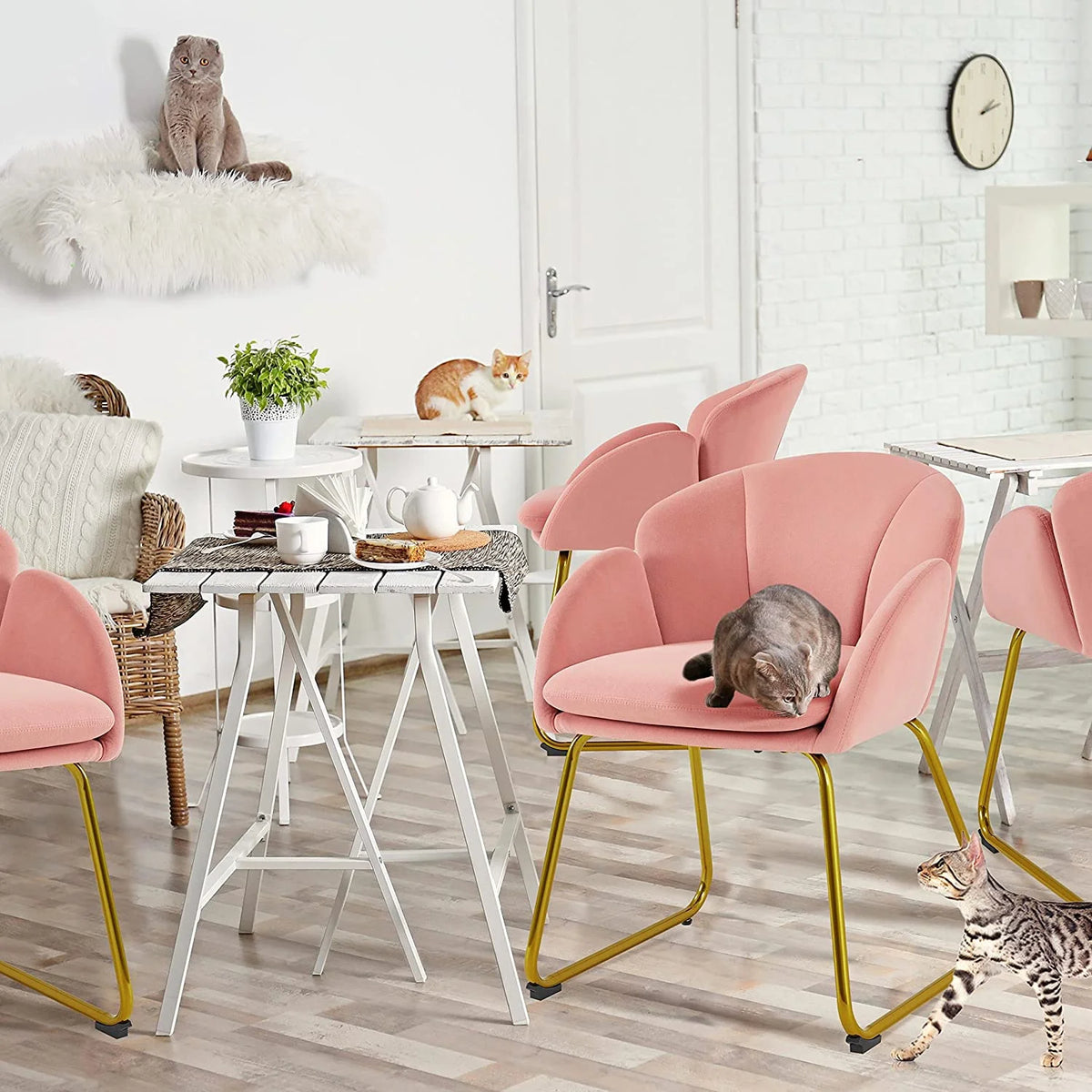 Pink Velvet Flower Shape Armchair with Golden Metal Legs, 2 Pieces A57644