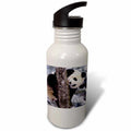 21 oz Sports Water Bottle D862