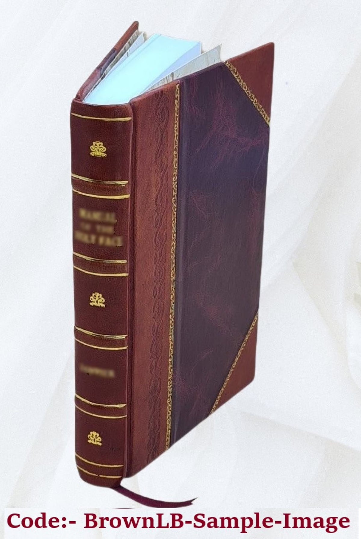 Leather Bound Book Y184