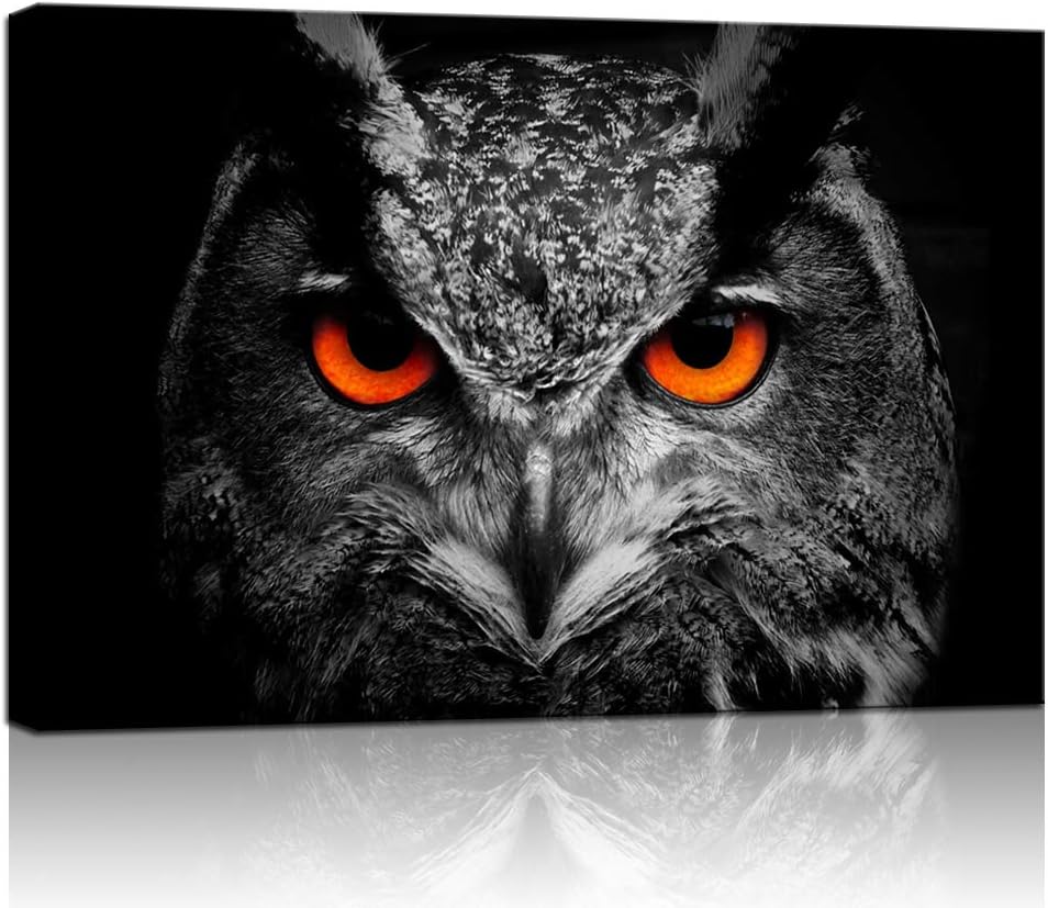 Black White Owl with Red Eyes Canvas Painting Framed Artwork F979