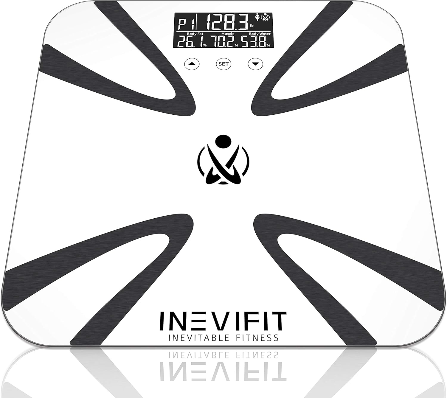 Body Fat Scale Z203