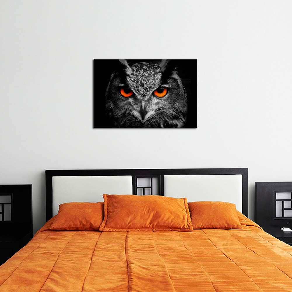 Black White Owl with Red Eyes Canvas Painting Framed Artwork F979