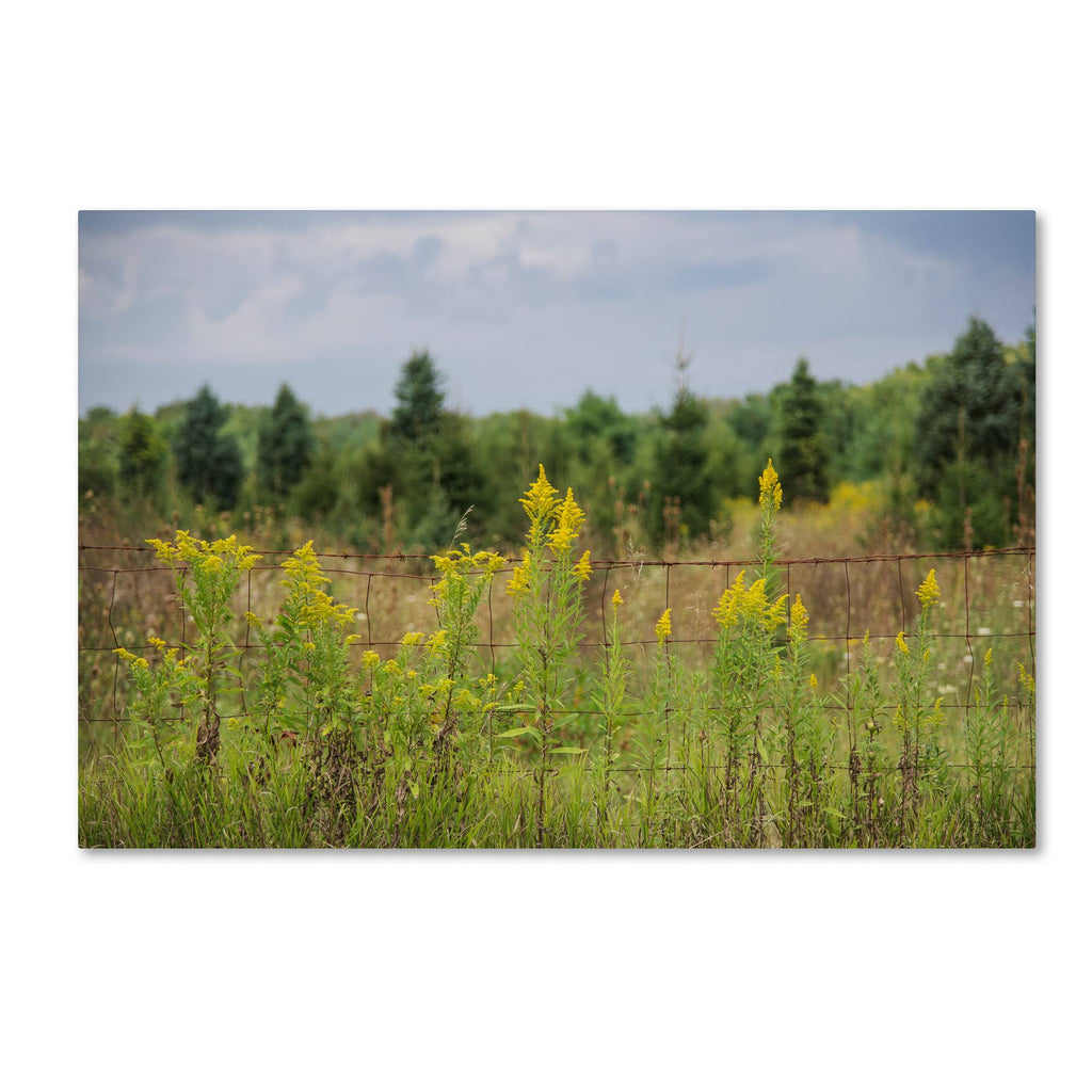 Canvas Art D657798