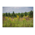 Canvas Art D657798