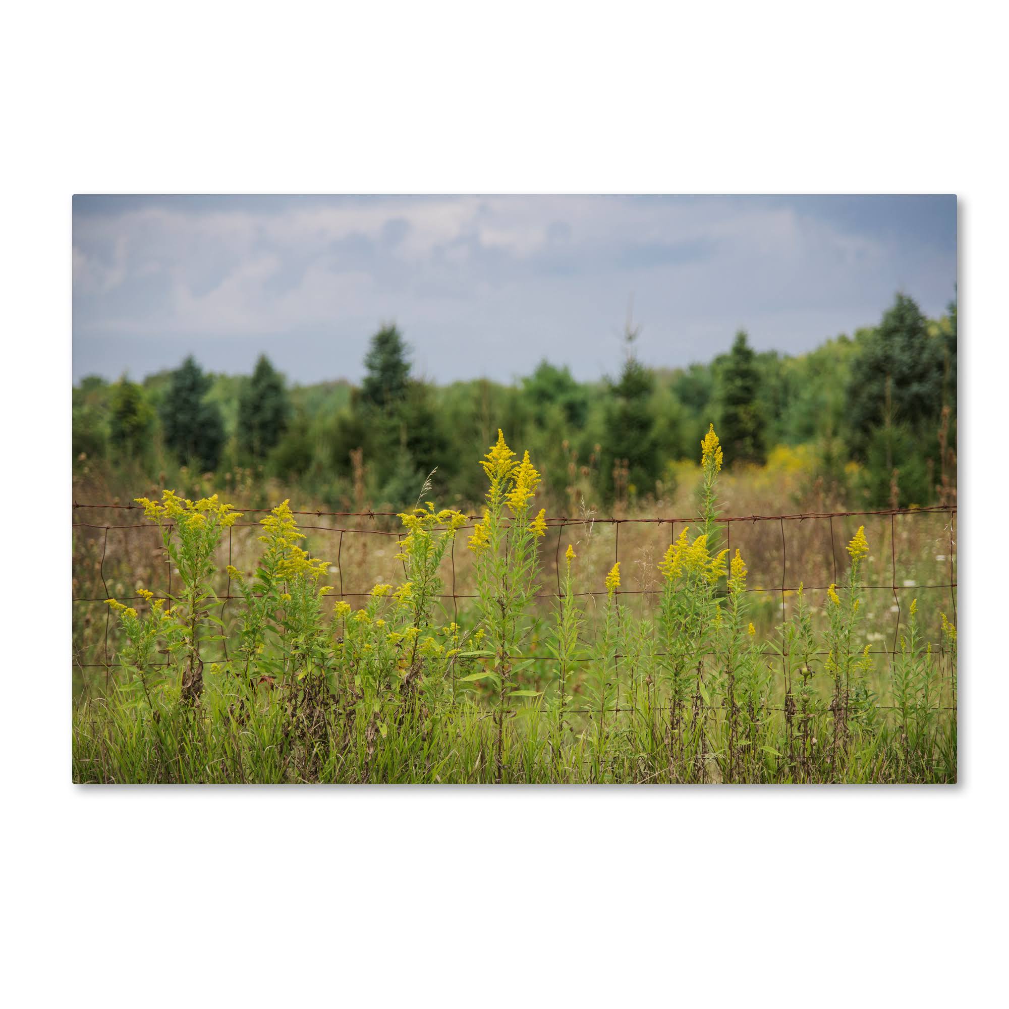 Canvas Art D657798