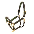 Padded Halter with Brass Hardware X182531