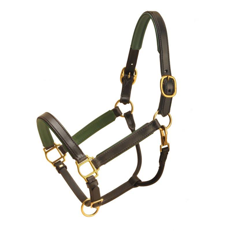 Padded Halter with Brass Hardware X182531