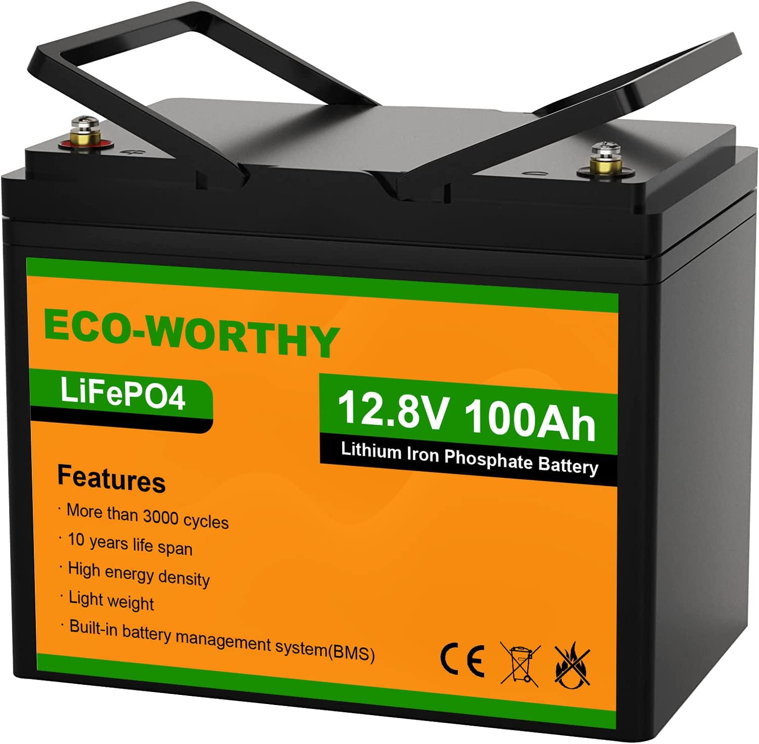 12V 100AH LiFePO4 Lithium Iron Phosphate Battery with BMS Z5507