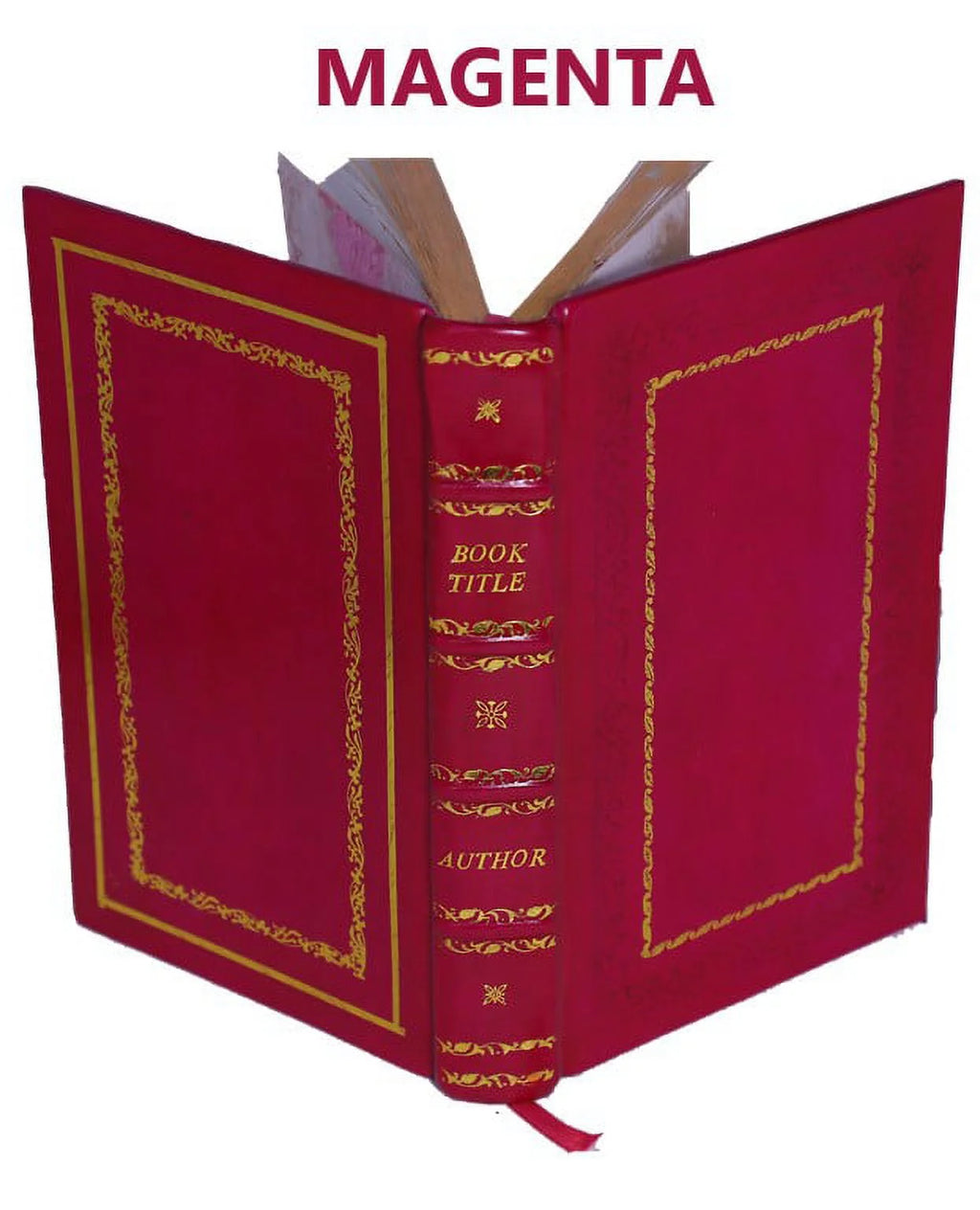 Premium Leather Bound Dracula V15701