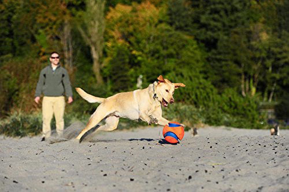 Large Kick Fetch Ball Dog Toy (8 Inch) R809