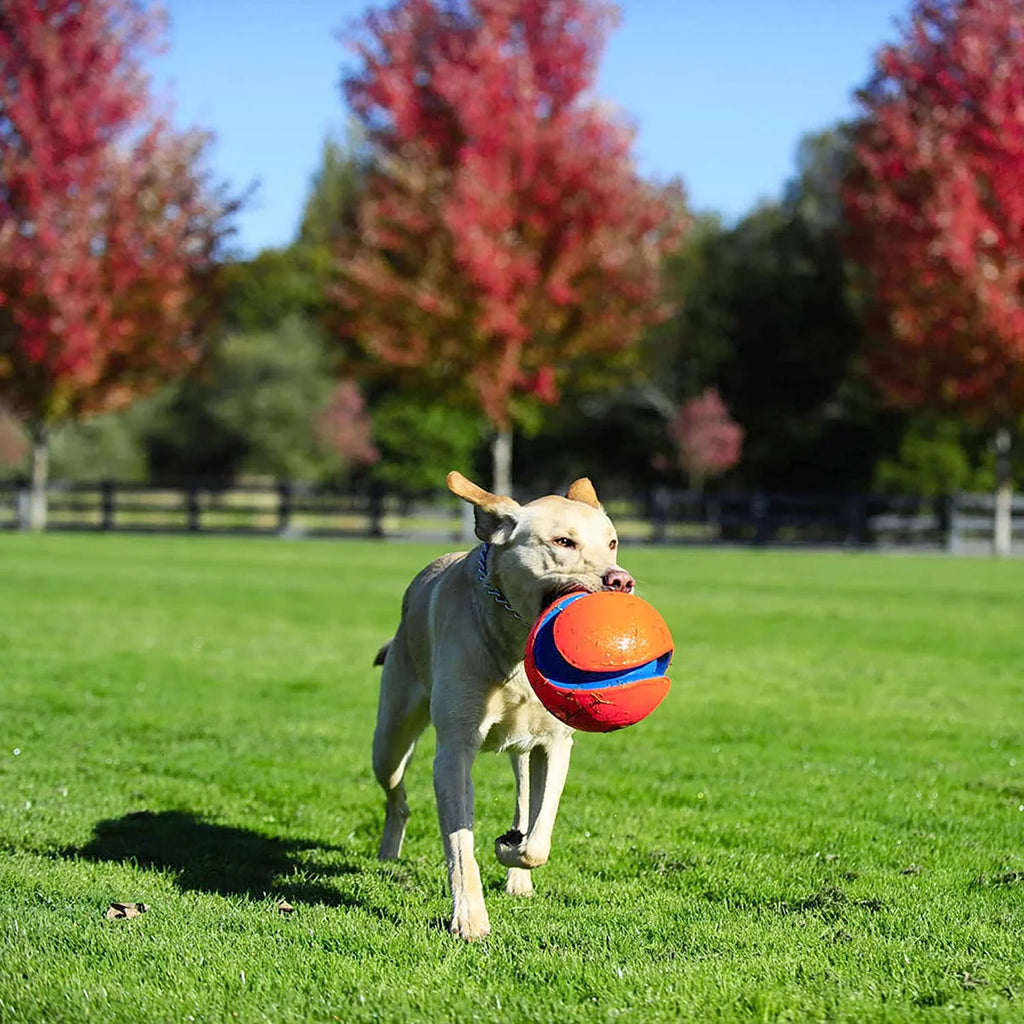 Large Kick Fetch Ball Dog Toy (8 Inch) R809
