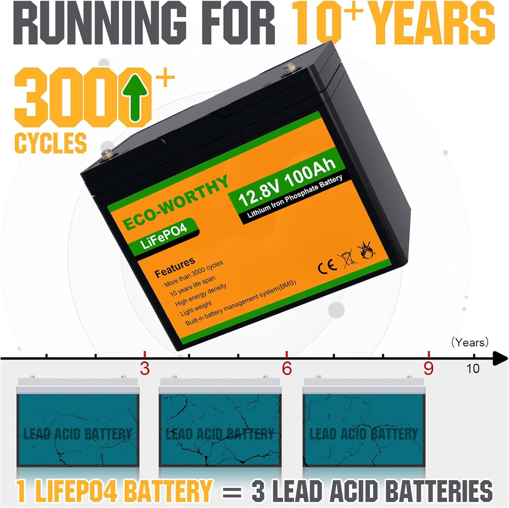 12V 100AH LiFePO4 Lithium Iron Phosphate Battery with BMS Z5507