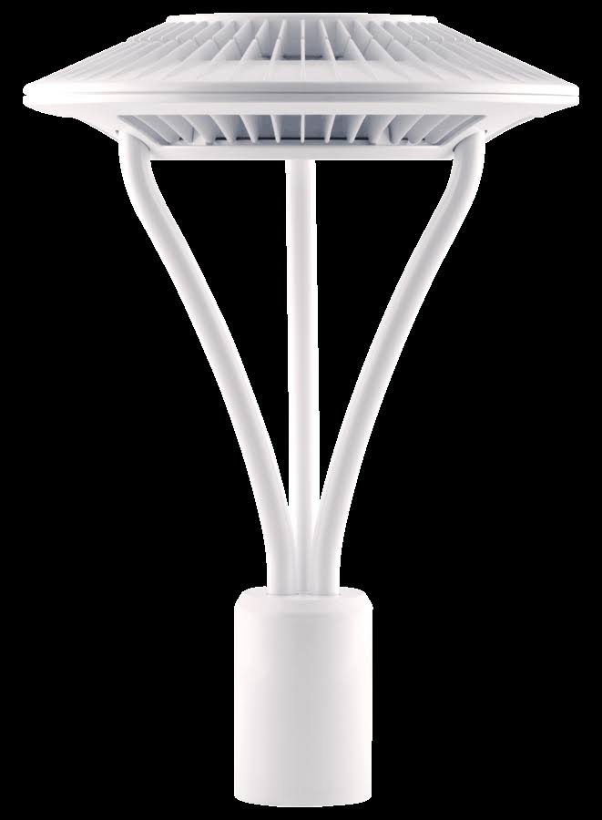 Area Light Post Top 26W Cool 480V LED Type V WH L672