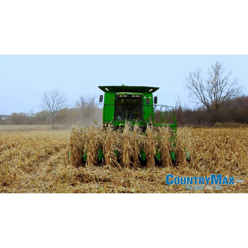 Bulk Whole Corn for Wildlife Feeding A974