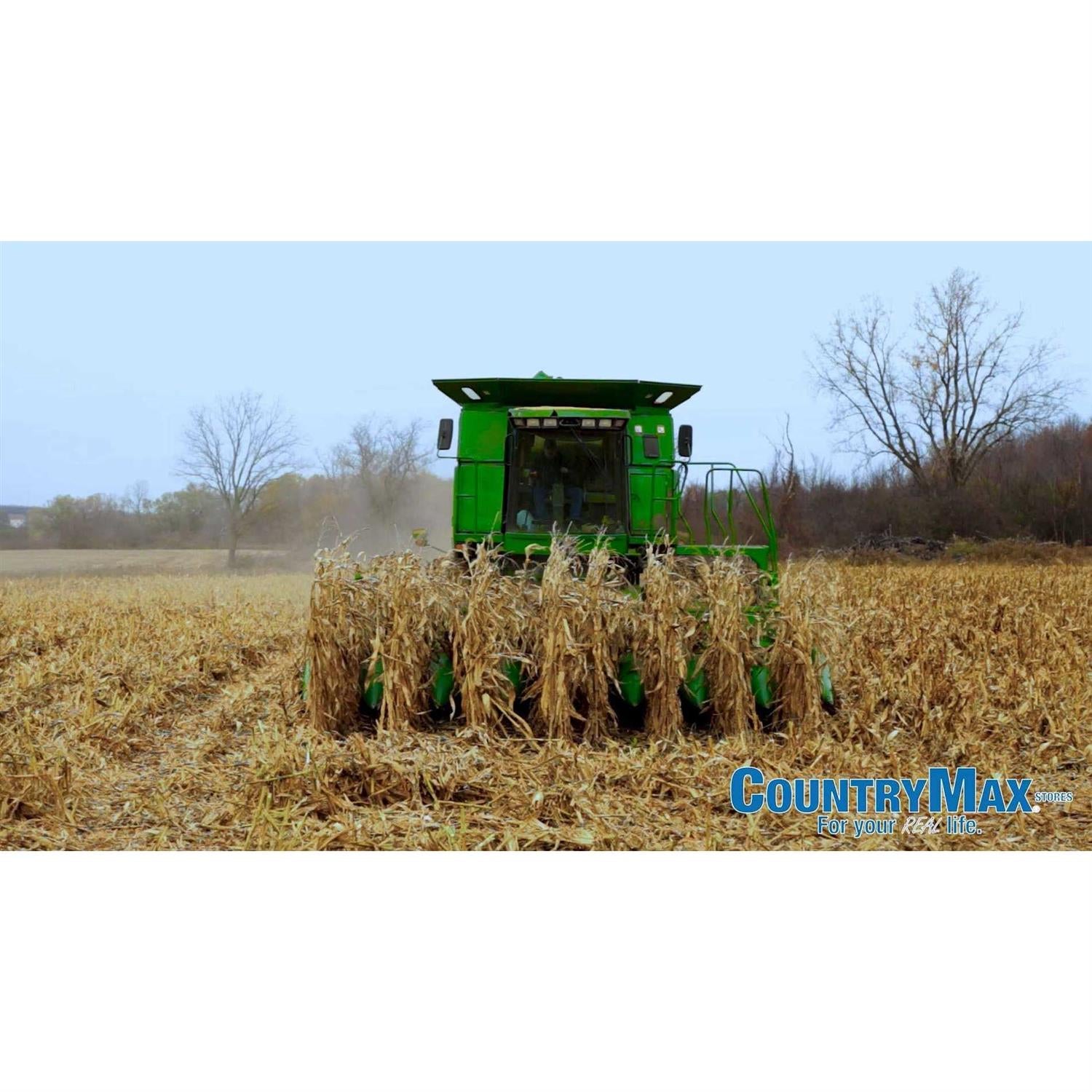 Bulk Whole Corn for Wildlife Feeding A974