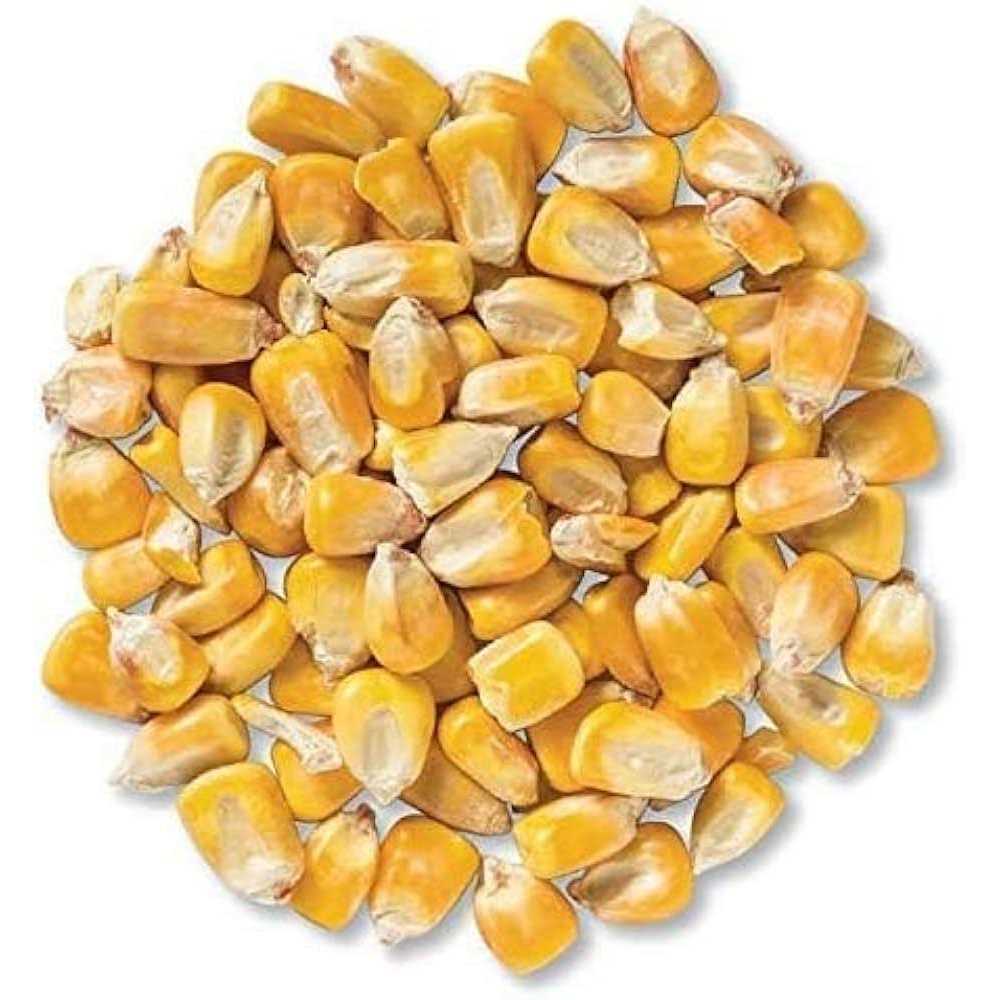 Bulk Whole Corn for Wildlife Feeding A974