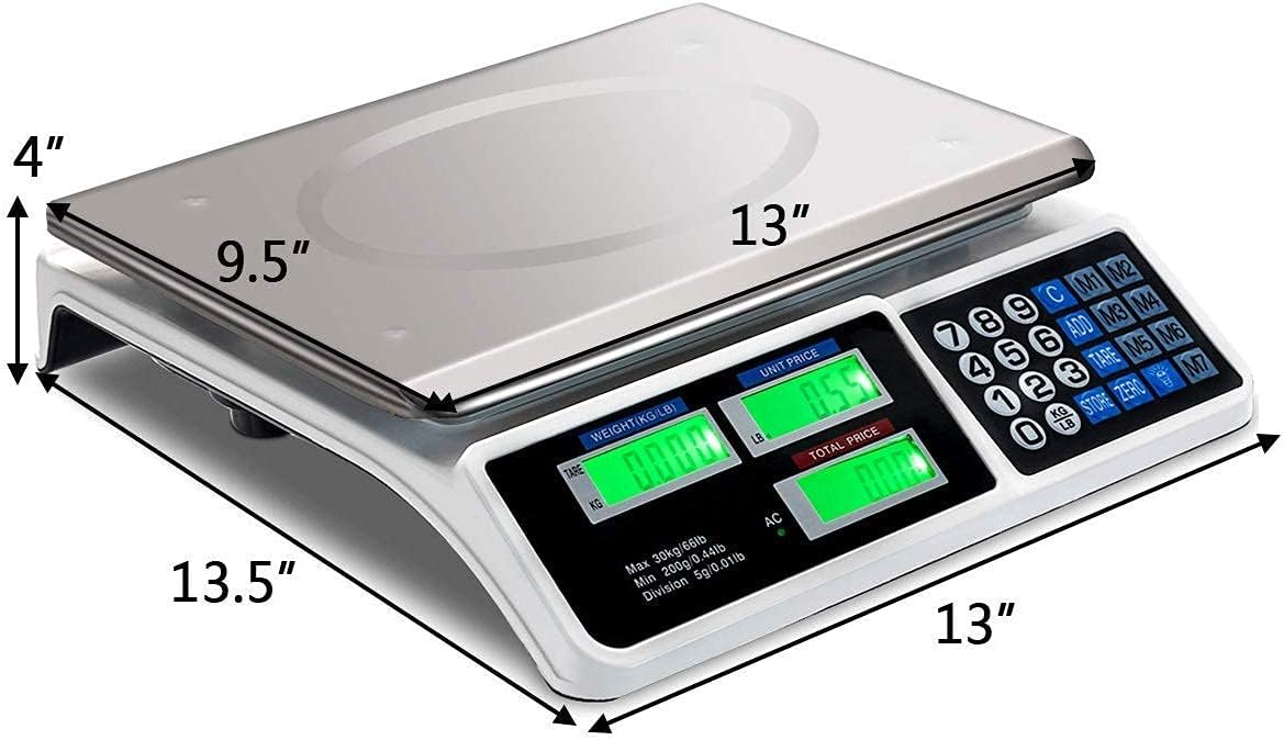 66 LB Digital Scale Pack of 2 T403138