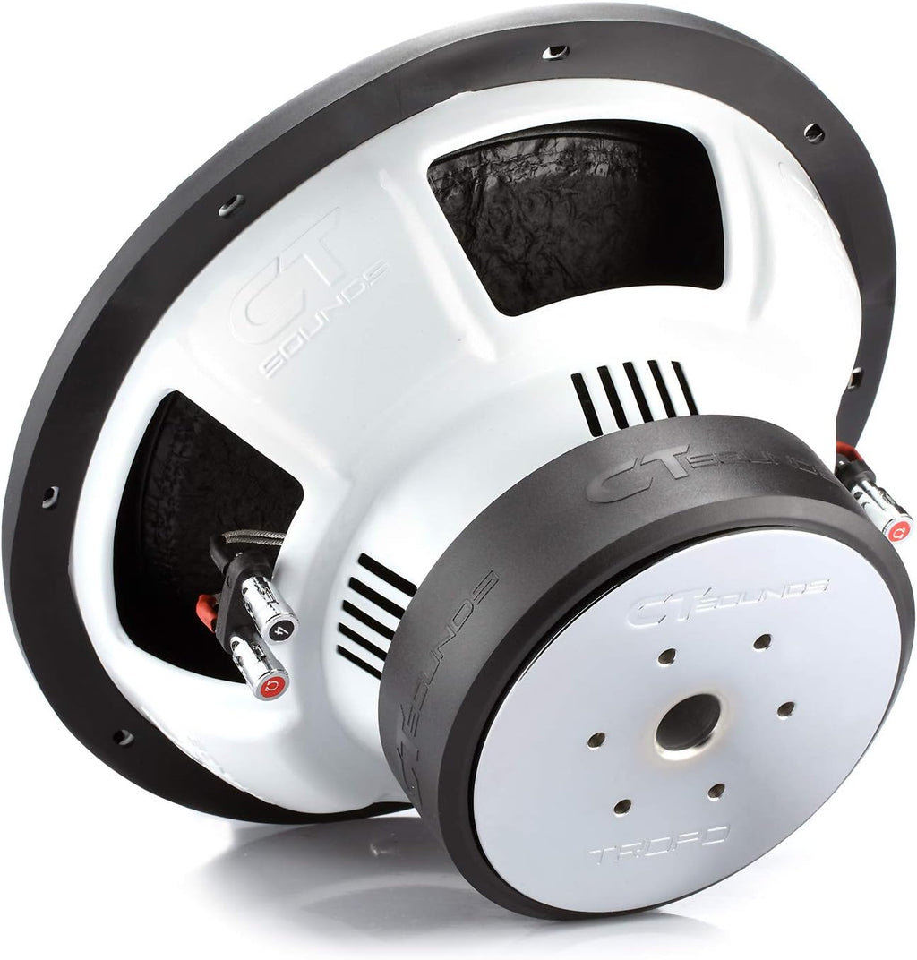 12 Inch 1300 Watts Max Dual 2 Ohm Car Subwoofer P651