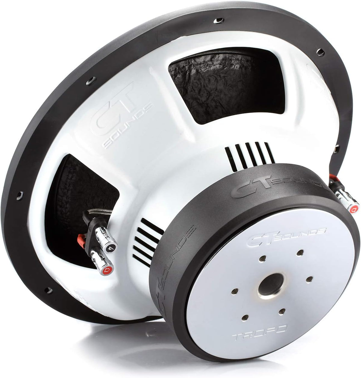 12 Inch 1300 Watts Max Dual 2 Ohm Car Subwoofer P651