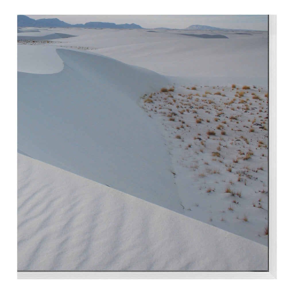Sahara Wall Decor Y230676
