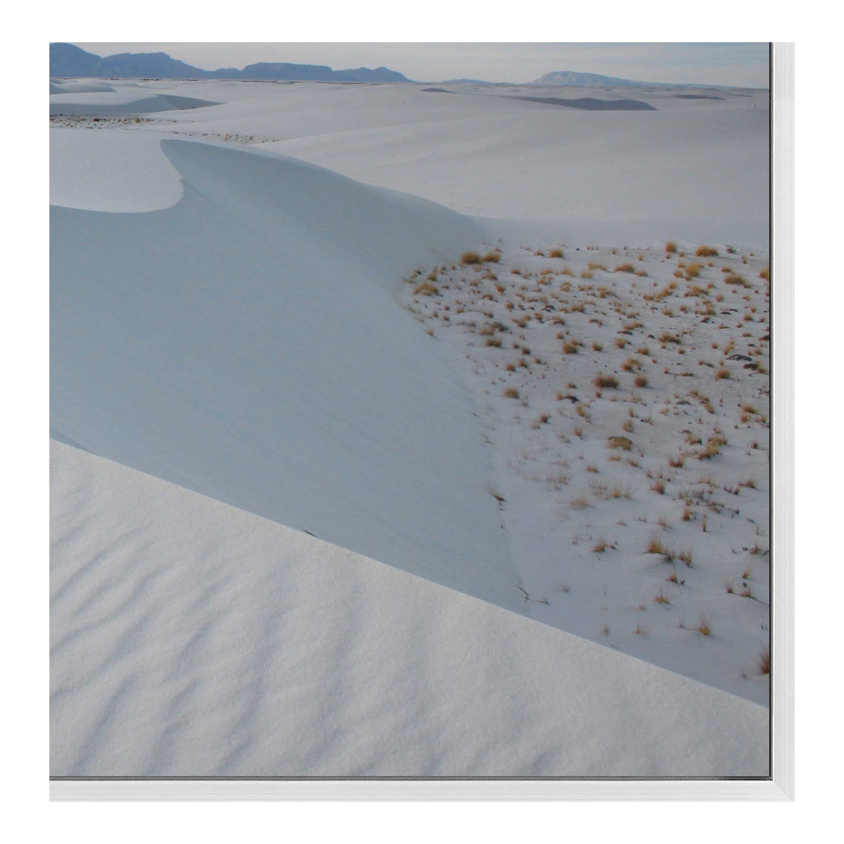 Sahara Wall Decor Y230676