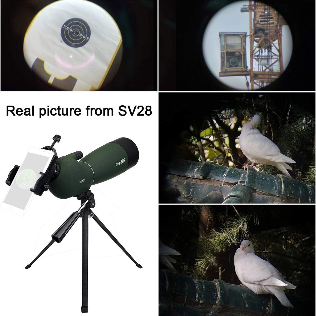25-75x70 Angled Waterproof Spotting Scope with Tripod, Phone Adapter T619997