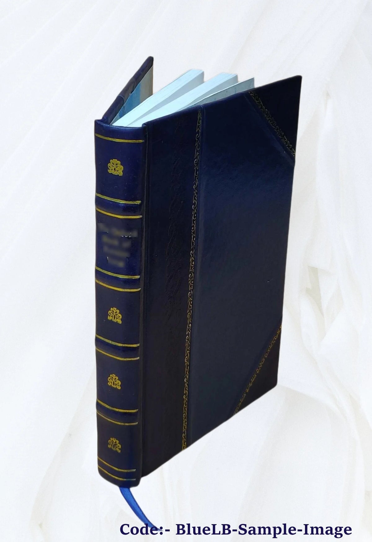Leather Bound Book Y184