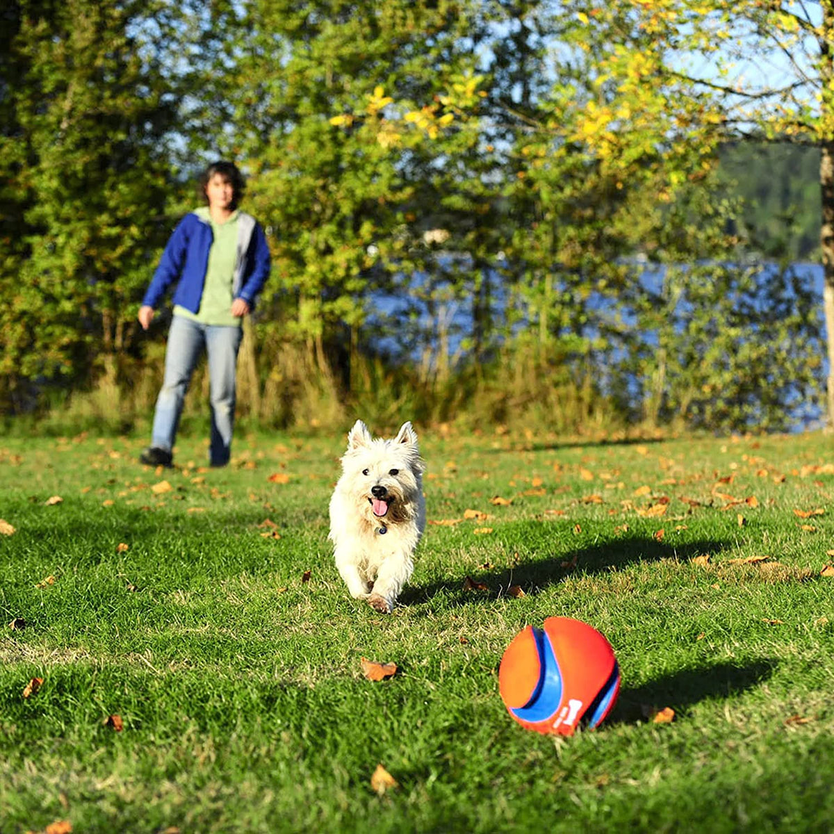 Large Kick Fetch Ball Dog Toy (8 Inch) R809