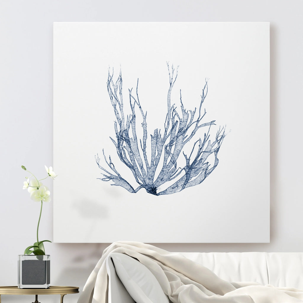 Navy Seaweed Gallery Wrapped Canvas 10x10 V776