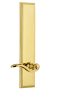 Polished Brass Tall Plate Privacy Lever A516263