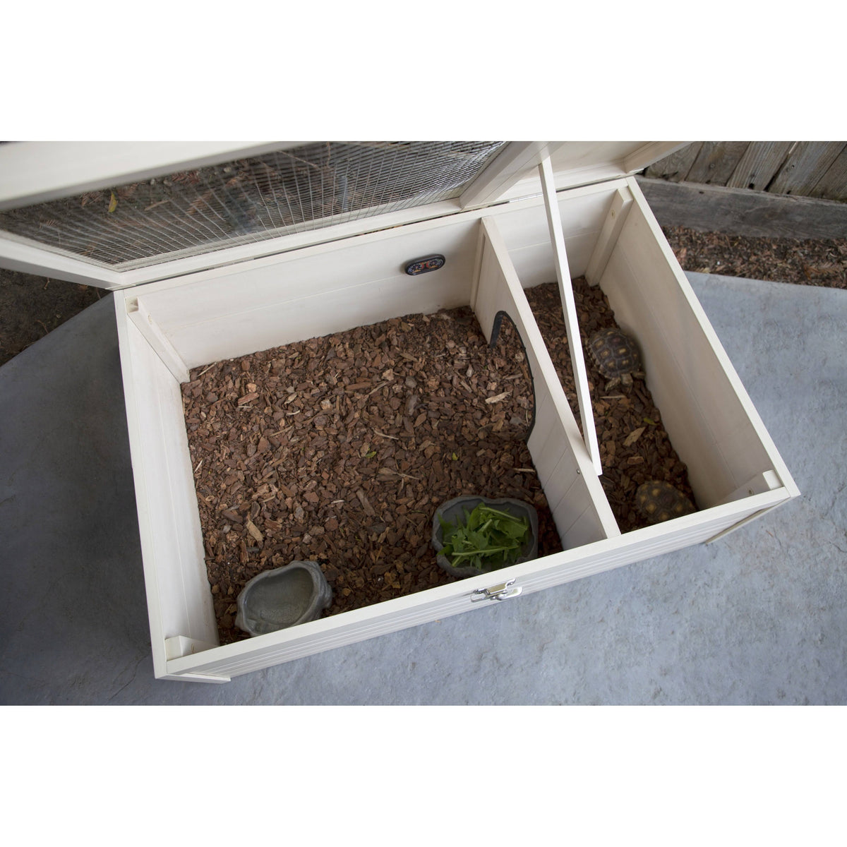 Tortoise House C39865