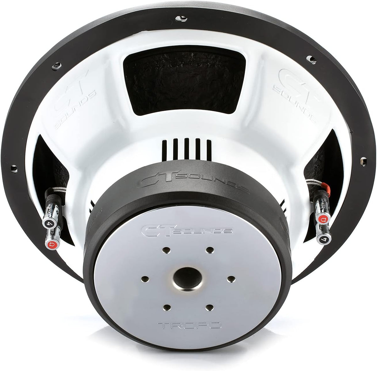 12 Inch 1300 Watts Max Dual 2 Ohm Car Subwoofer P651