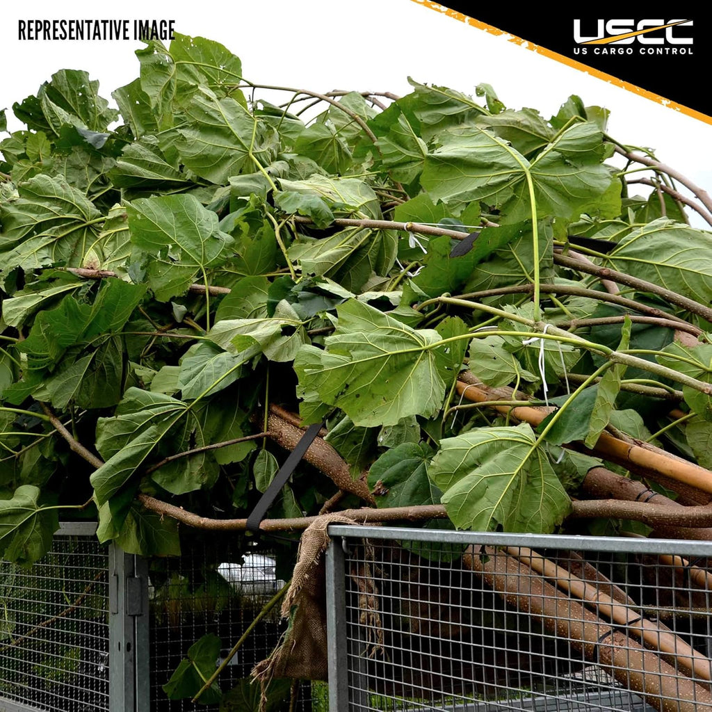 Stainless Steel Ratchet Strap Tie Down 1 Inch Wide 10 Foot Long Black 4 Pack Z995