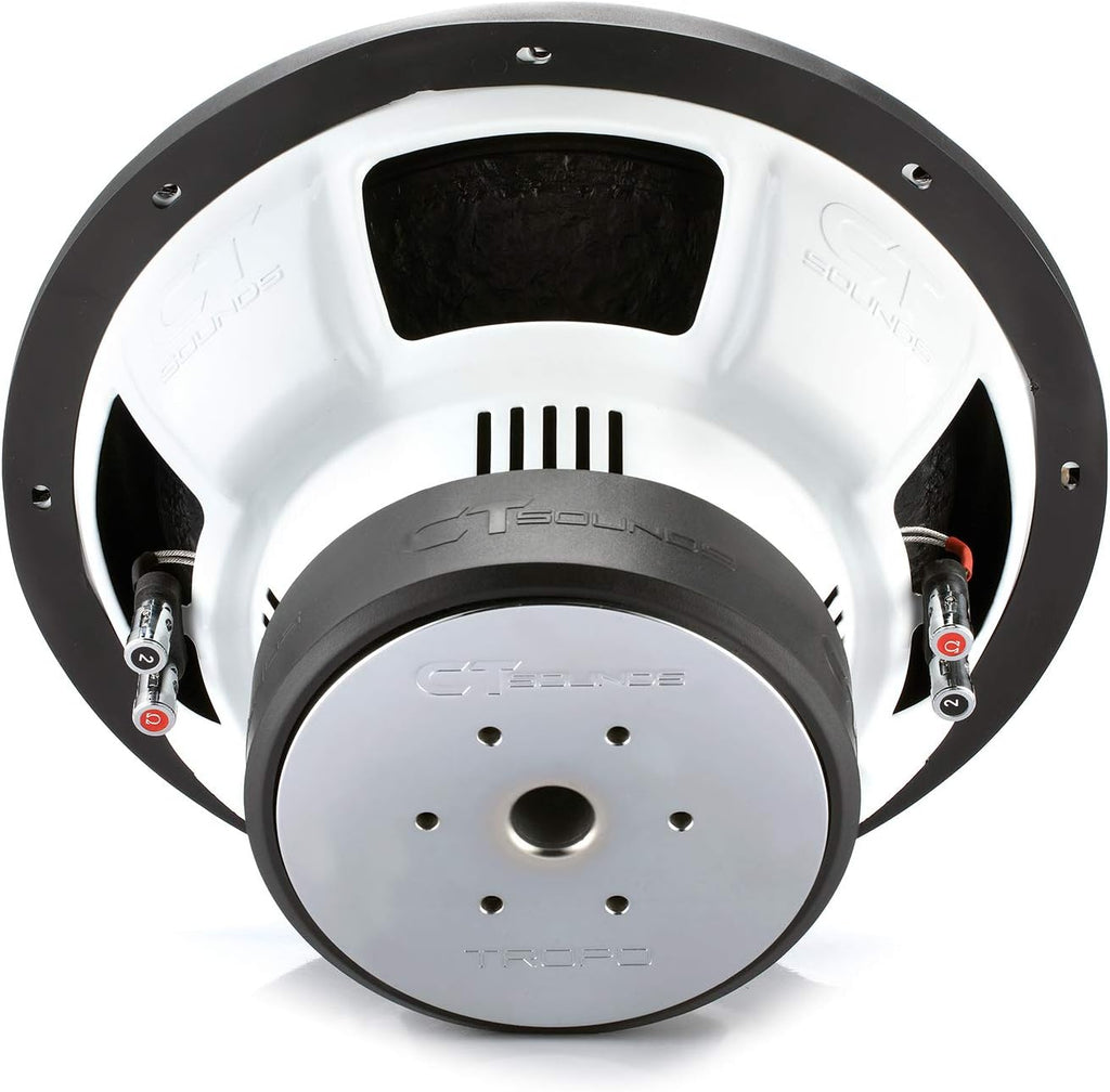 12 Inch 1300 Watts Max Dual 2 Ohm Car Subwoofer P651