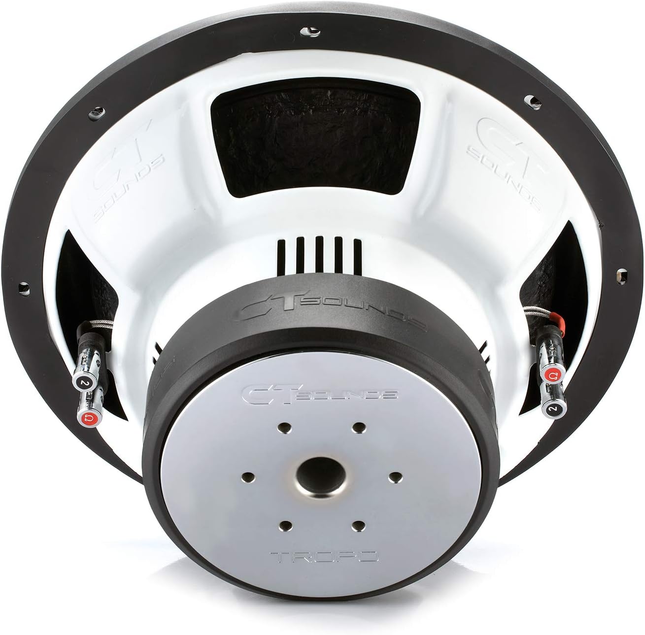12 Inch 1300 Watts Max Dual 2 Ohm Car Subwoofer P651