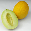 1,000 Seeds Treated Melon Seeds G4670
