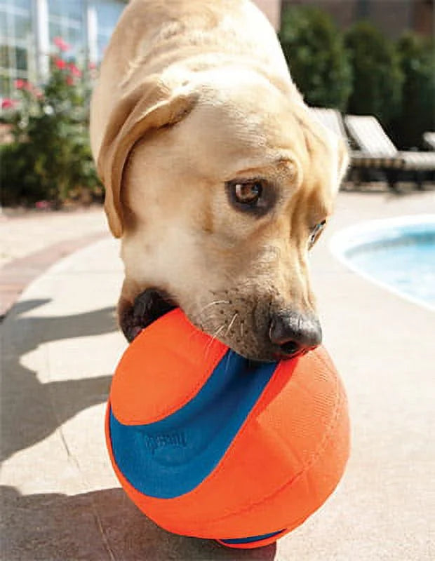 Large Kick Fetch Ball Dog Toy (8 Inch) R809