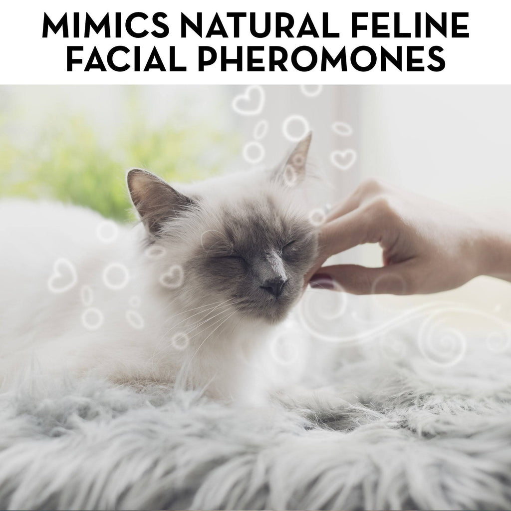 Cat Calming Pheromone Diffuser Kit Y183