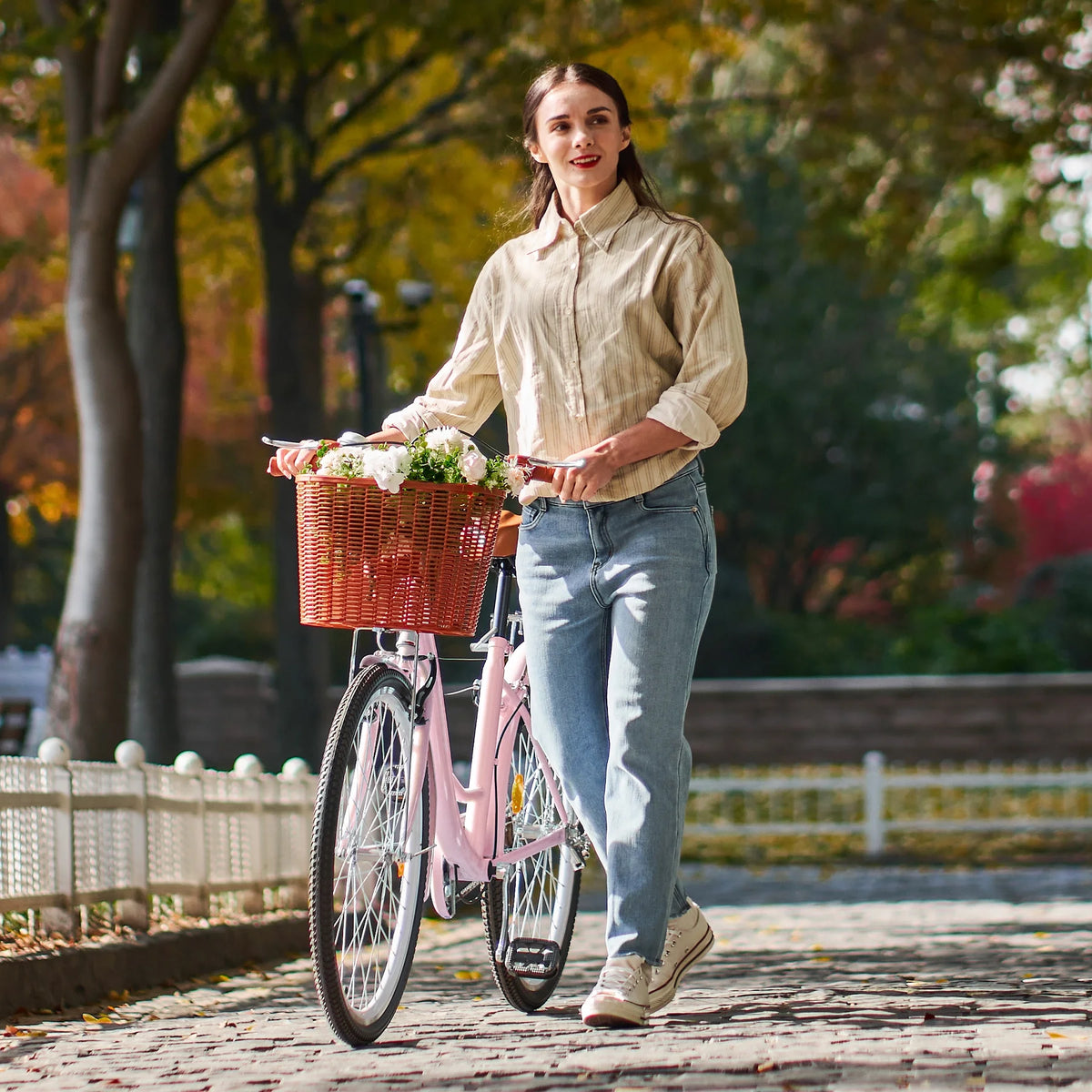 24 Inch City Cruiser Bicycle with Carbon Steel Frame Dual V Brakes Basket M7643