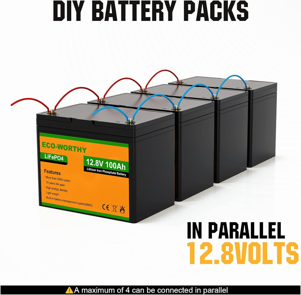 12V 100AH LiFePO4 Lithium Iron Phosphate Battery with BMS Z5507