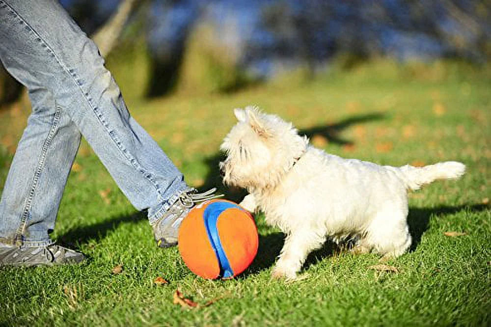 Large Kick Fetch Ball Dog Toy (8 Inch) R809