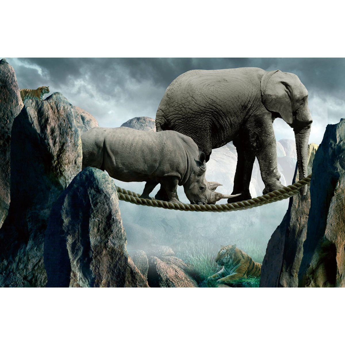 Animal TRACKS Graphic Art R297