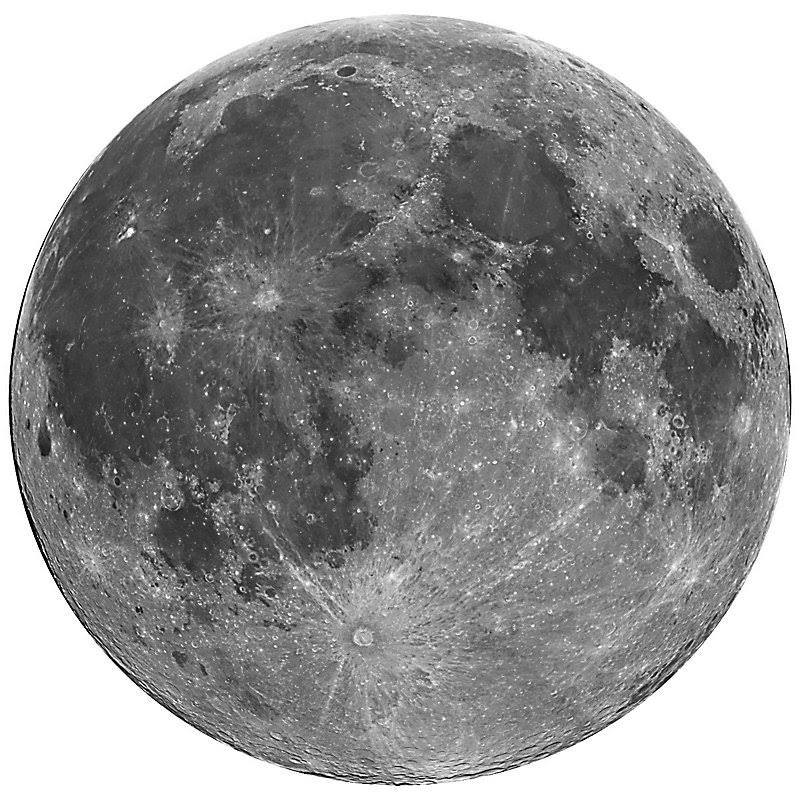 Full Moon Cutout Wall Decal W739